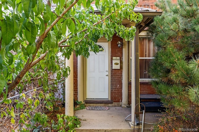 view of entrance to property