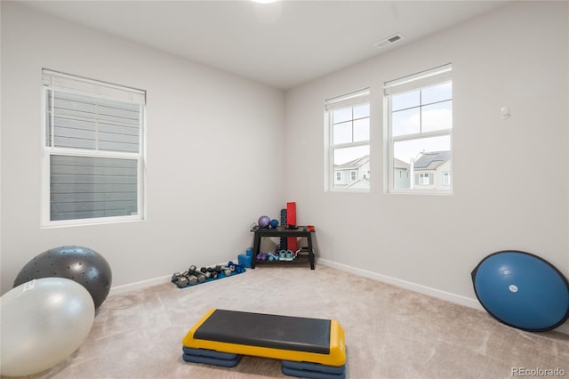 8582 Cheraw St, Littleton, CO 80125 - workout room featuring carpet