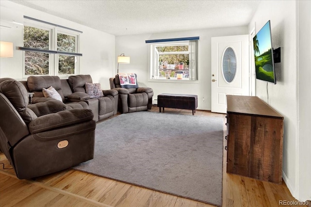 5211 Dover St, Arvada, CO 80002 - living room with plenty of natural light, wood finished floors, and a textured ceiling