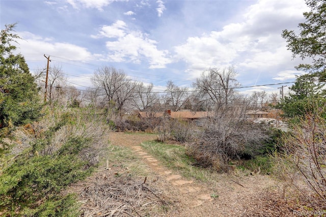 1720 S Balsam St, Lakewood, CO 80232 - view of nature