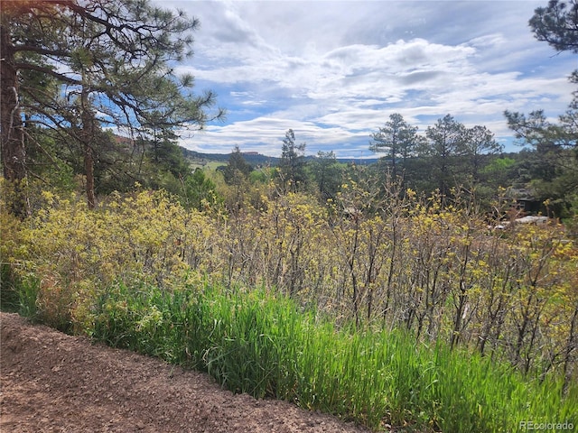 Buena Vista Ave, Palmer Lake, CO 80133 - photo 1