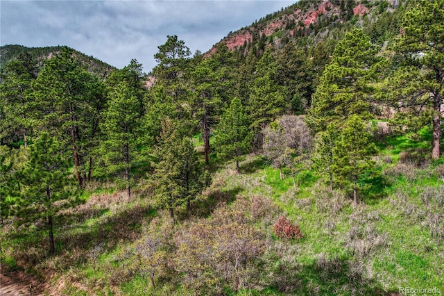 Buena Vista Ave, Palmer Lake, CO 80133 - photo 2