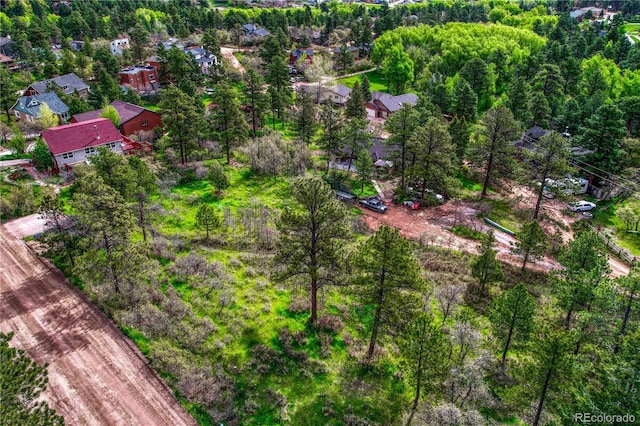 Buena Vista Ave, Palmer Lake, CO 80133 - photo 3