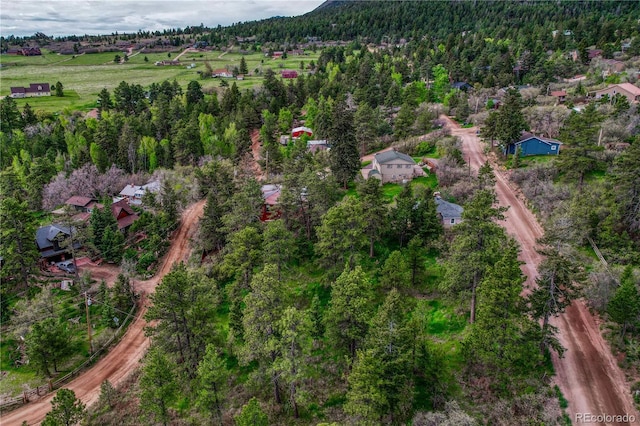 Buena Vista Ave, Palmer Lake, CO 80133 - photo 4