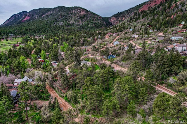 Buena Vista Ave, Palmer Lake, CO 80133 - photo 5