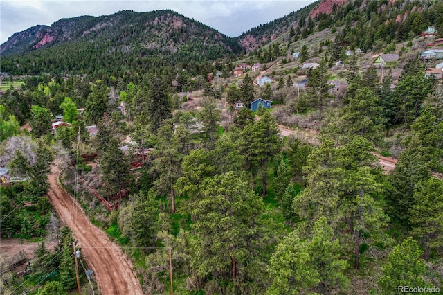 Buena Vista Ave, Palmer Lake, CO 80133 - photo 6