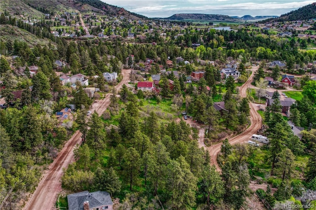 Buena Vista Ave, Palmer Lake, CO 80133 - photo 7