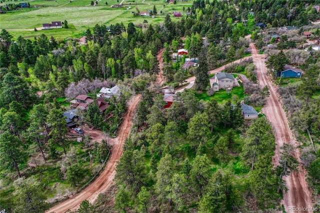 Buena Vista Ave, Palmer Lake, CO 80133 - photo 8