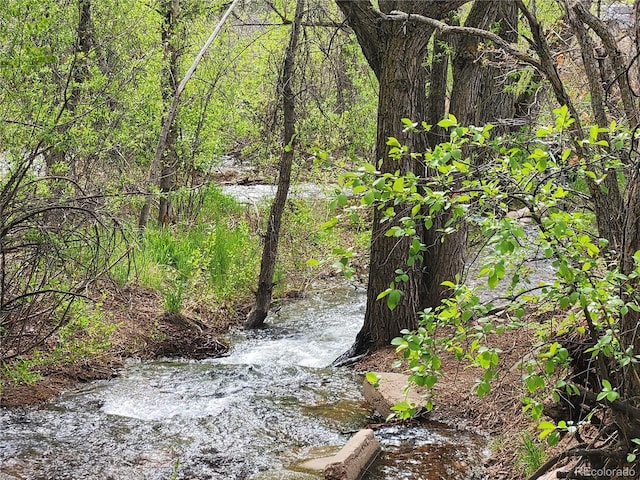 Buena Vista Ave, Palmer Lake, CO 80133 - photo 10