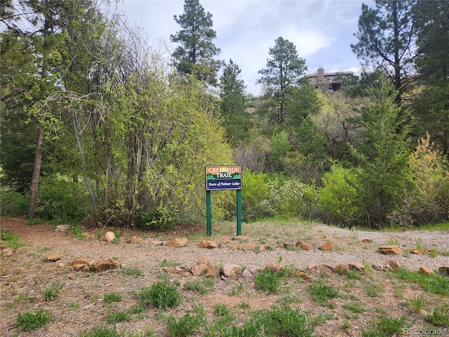 Buena Vista Ave, Palmer Lake, CO 80133 - photo 13
