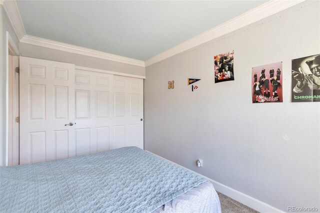 9889 Aftonwood St, Highlands Ranch, CO 80126 - carpeted bedroom with ornamental molding, baseboards, and a closet