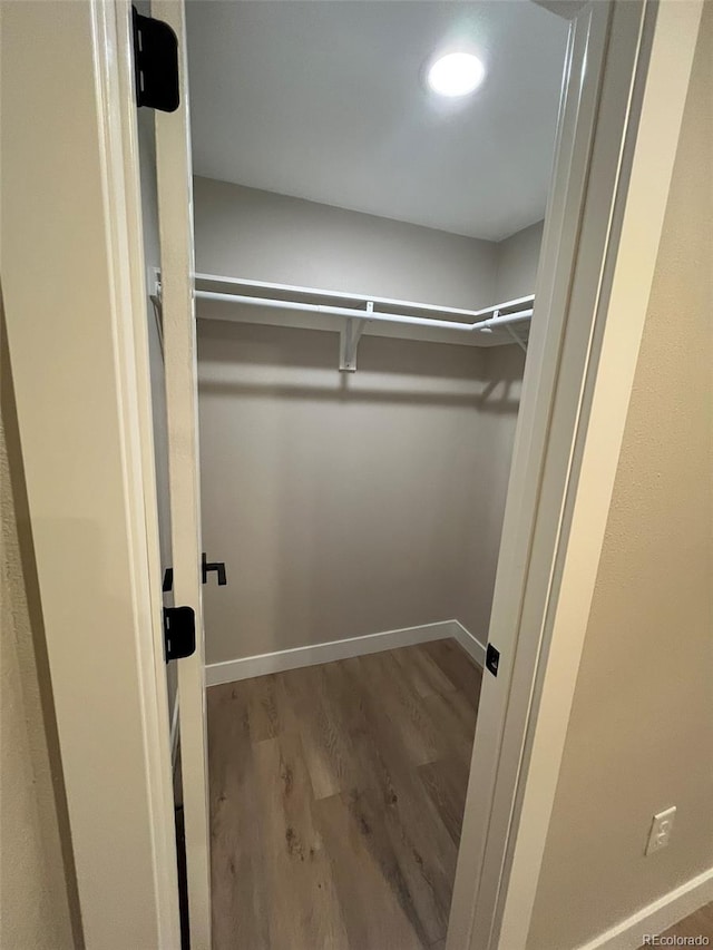 2836 S Fenton St, Denver, CO 80227 - spacious closet with wood finished floors