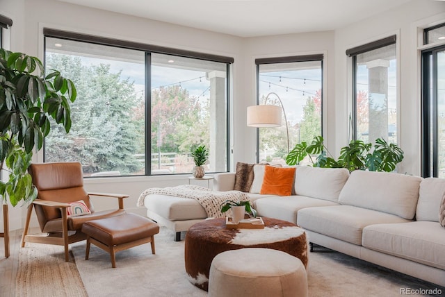 2675 Spruce Meadows Dr, Broomfield, CO 80023 - photo 13
