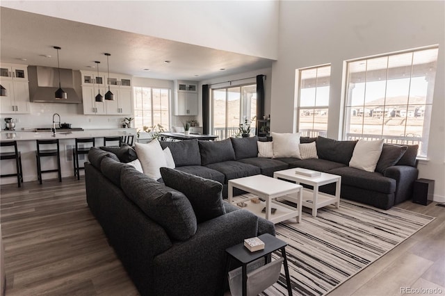 living room with dark wood-type flooring and sink