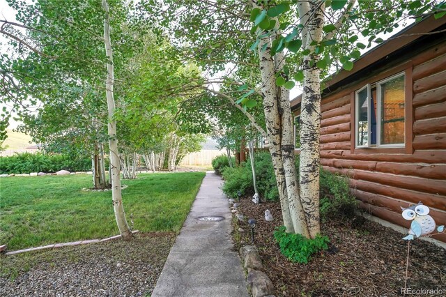 115 County Road 1014, Silverthorne, CO 80498 - photo 5