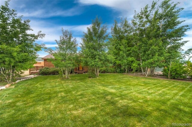 115 County Road 1014, Silverthorne, CO 80498 - photo 21