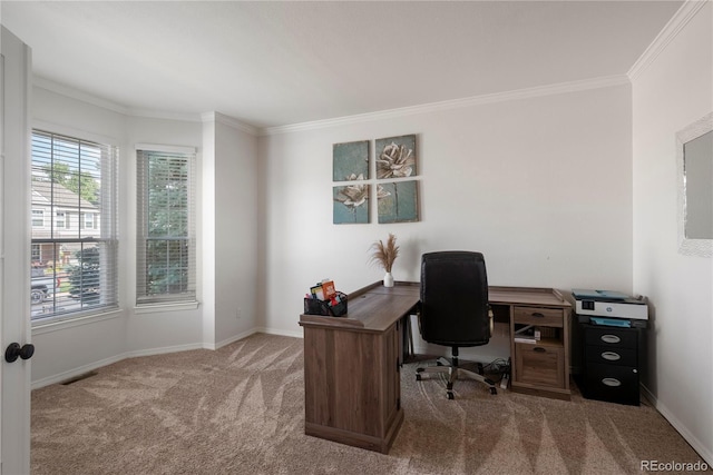 carpeted office space with ornamental molding