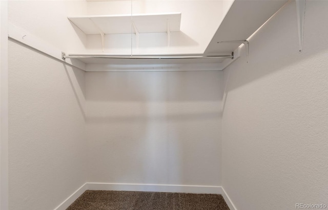 2431 S Xanadu Way Unit D, Aurora, CO 80014 - photo 11