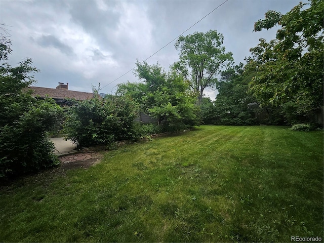 912 E 6th Ave, Broomfield, CO 80020 - view of yard