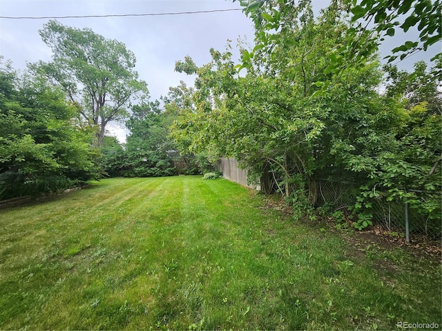 912 E 6th Ave, Broomfield, CO 80020 - view of yard