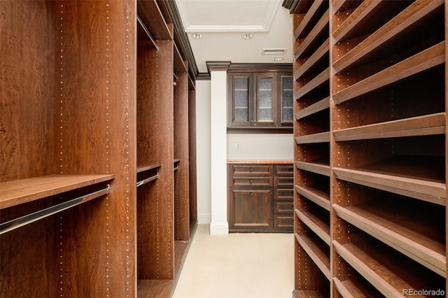 view of walk in closet