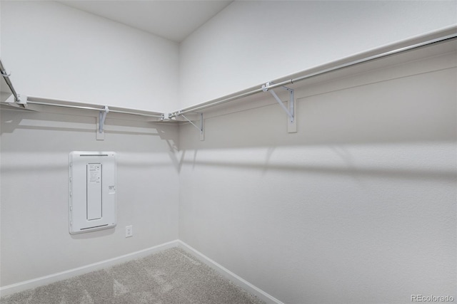 walk in closet with carpet flooring