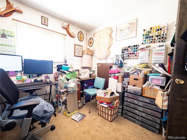 office space featuring carpet flooring