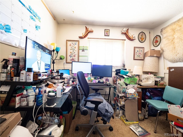 view of carpeted home office