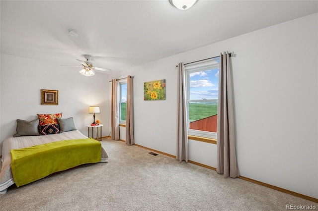 7755 Pine Cone Rd, Colorado Springs, CO 80908 - photo 23