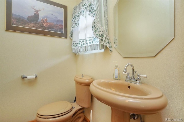 bathroom with sink and toilet