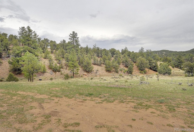 view of local wilderness with a rural view