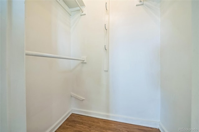 spacious closet featuring wood finished floors