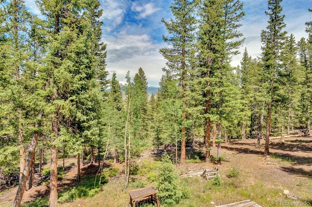 987 Boreas Cir, Jefferson, CO 80456 - view of yard featuring a wooded view