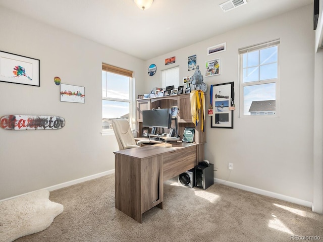 728 Larkspur Ct, Brighton, CO 80601 - photo 19