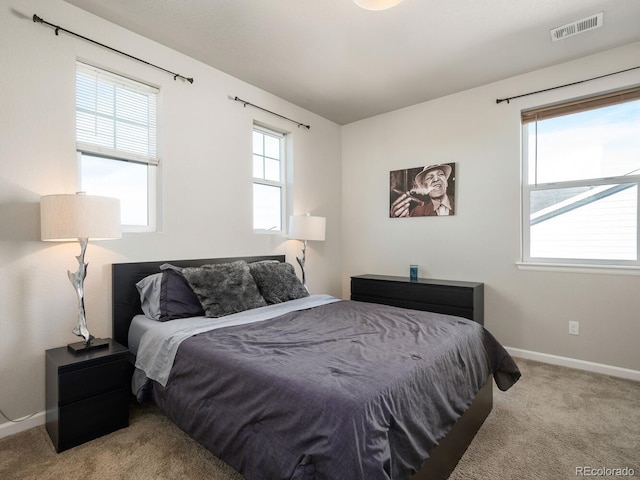 728 Larkspur Ct, Brighton, CO 80601 - photo 21