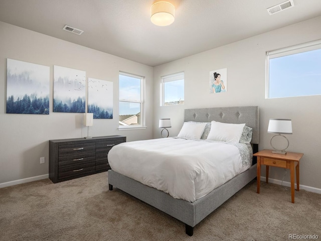 728 Larkspur Ct, Brighton, CO 80601 - photo 22