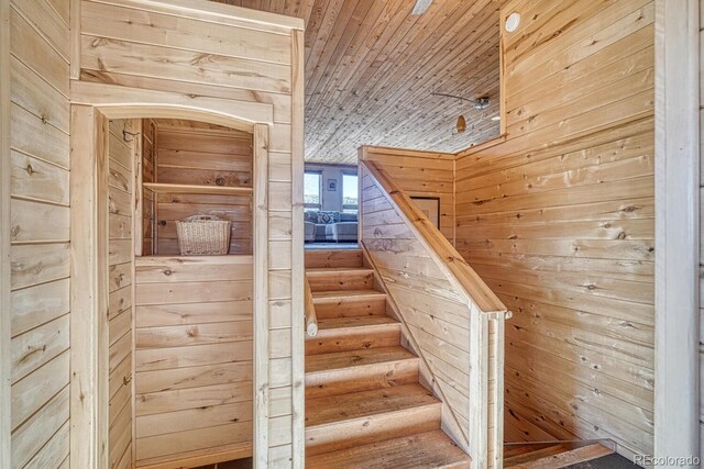 stairway with wood ceiling