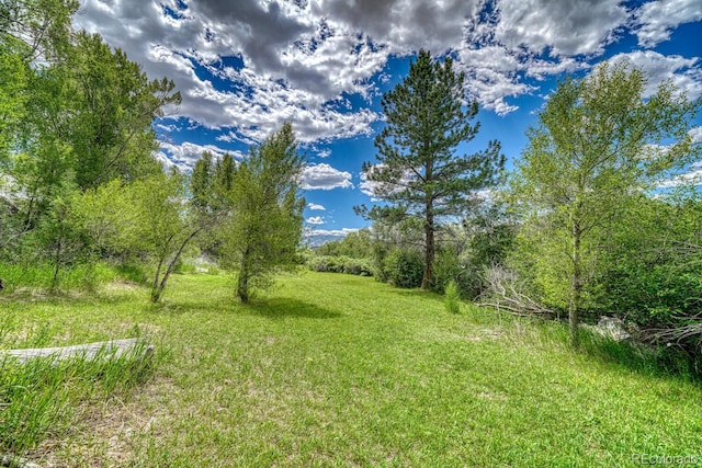 11100 W County Road 190, Salida, CO 81201 - photo 41