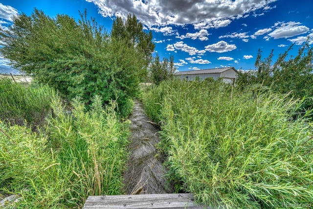 11100 W County Road 190, Salida, CO 81201 - photo 44