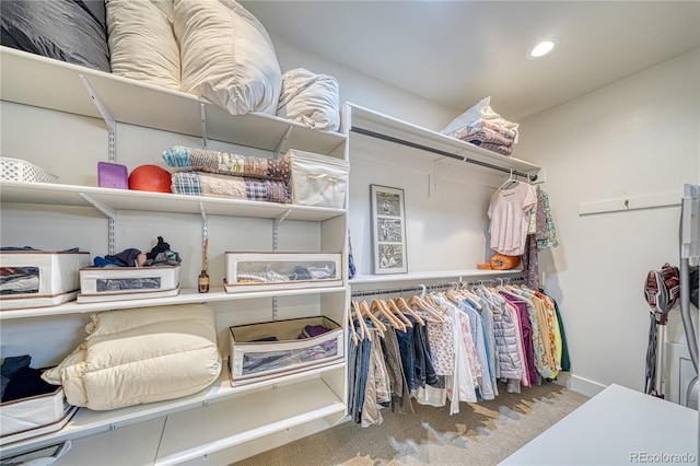 322 W Park Ave, Salida, CO 81201 - walk in closet featuring carpet