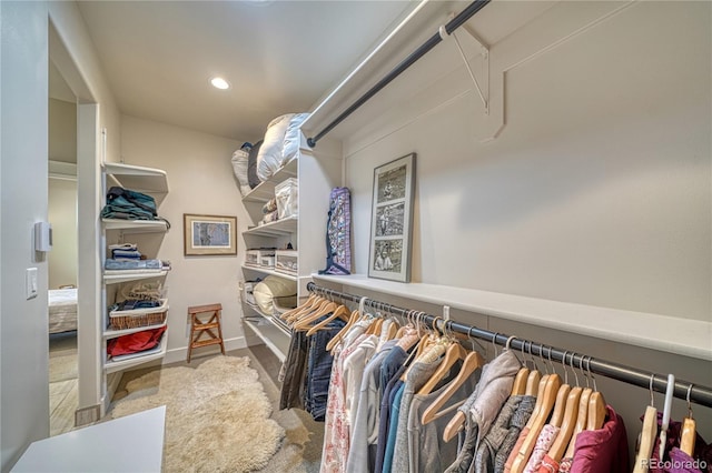 322 W Park Ave, Salida, CO 81201 - spacious closet with carpet