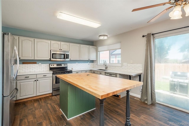 20445 Mitchell Pl, Denver, CO 80249 - kitchen featuring stainless steel appliances, wooden counters, dark wood-type flooring, and tasteful backsplash