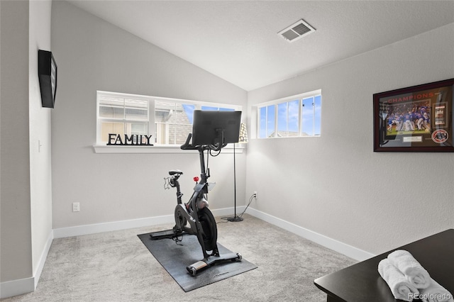 1867 W 137th Ln, Broomfield, CO 80023 - exercise room featuring lofted ceiling and carpet floors