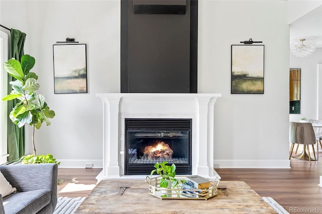 2098 N Clarkson St, Denver, CO 80205 - detailed view of baseboards, wood finished floors, and a glass covered fireplace