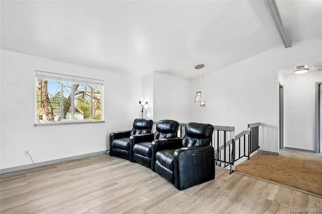 3902 S Uravan St, Aurora, CO 80013 - home theater featuring wood finished floors and baseboards