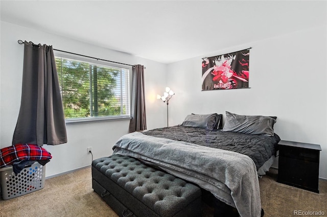 3902 S Uravan St, Aurora, CO 80013 - view of carpeted bedroom