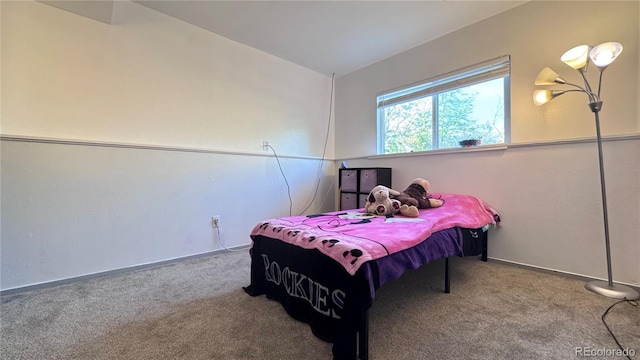 3902 S Uravan St, Aurora, CO 80013 - bedroom featuring carpet flooring