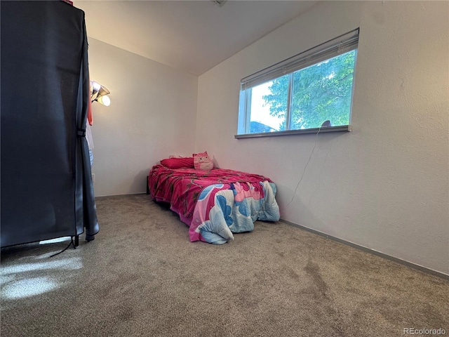 3902 S Uravan St, Aurora, CO 80013 - carpeted bedroom with vaulted ceiling