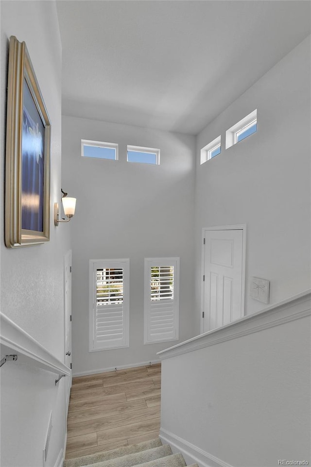 1086 Highlands Dr, Erie, CO 80516 - photo 10