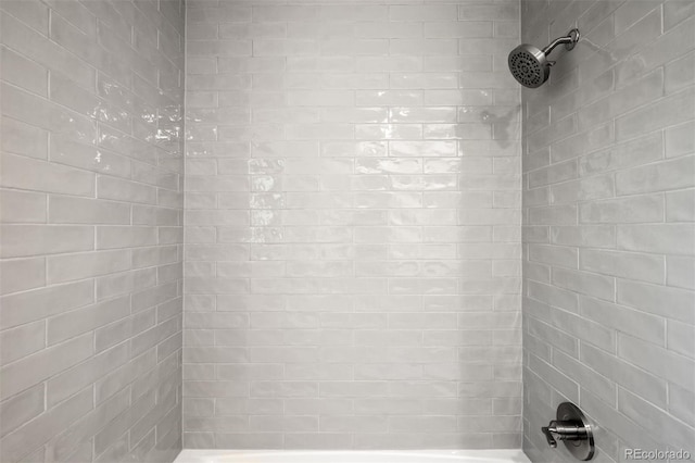 7308 S Steele Cir, Centennial, CO 80122 - bathroom view